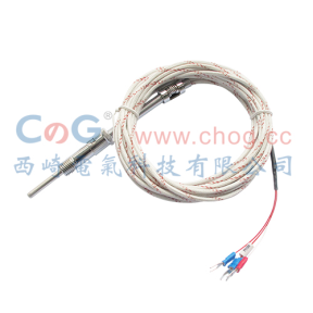 WZCT-01壓簧式熱電阻