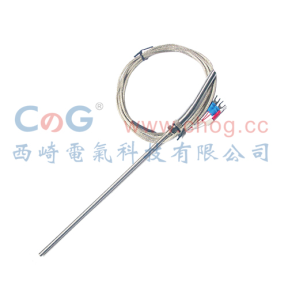 WZCT-03仿進口探頭式熱電阻